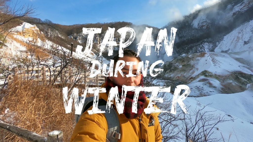 Have You Ever Seen Japan During WINTER? - Short Travel VLOG!