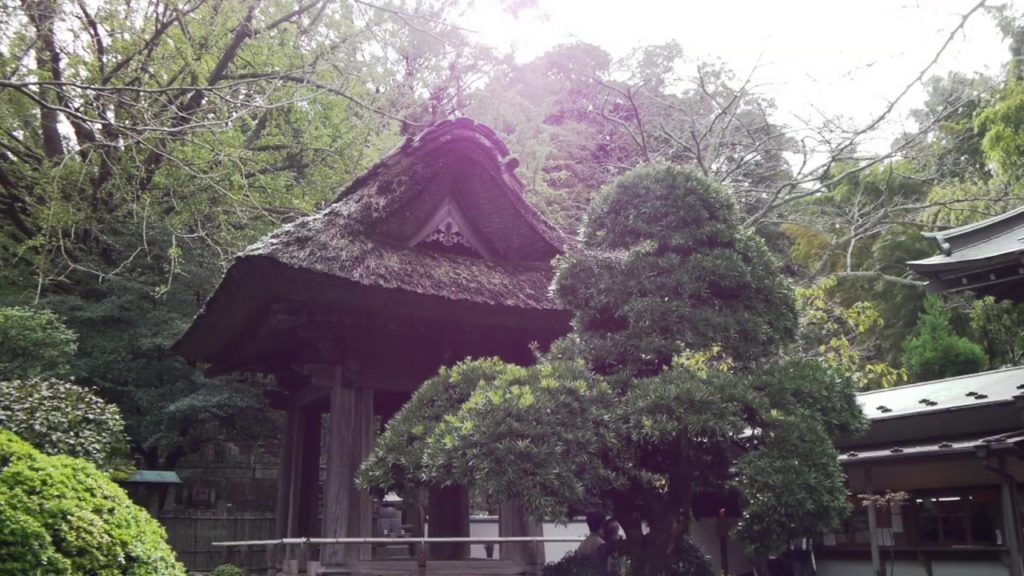 20191022 sun shower, Bamboo Garden, Houkokuji Temple, Kamakura, Kanagawa, Japan, Lumix DMC-GH1