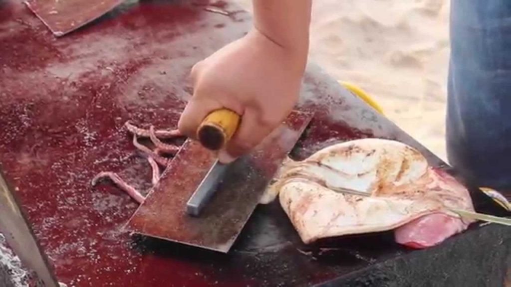 Grilled Squid on a Stick in Shandong, China 铁板鱿鱼 Grilled Squid on a Stick in Shandong, China 铁板鱿鱼