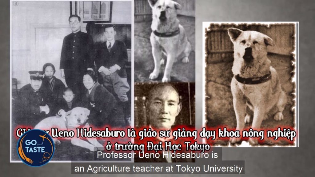 Cảm động về CHUKEN HACHIKO😭: Chú chó trung thành nổi tiếng ở Nhật Bản😭 「GO AND TASTE」