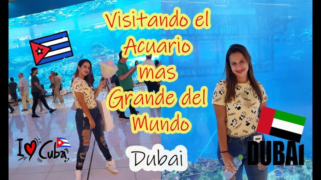 Inside the World's Largest Aquarium, Dubai Mall, Tour 2019. 4K
