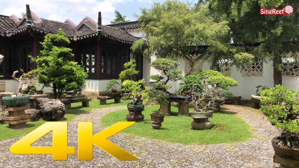 【Singapore Walking Tour】Chinese & Japanese Gardens
