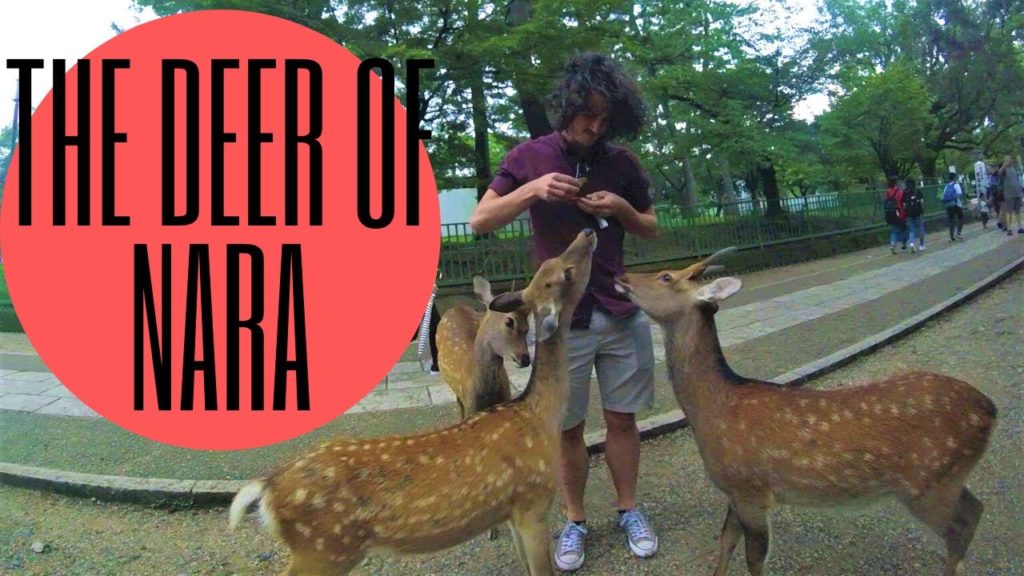 Nara - A Journey Through Japan, Part 2