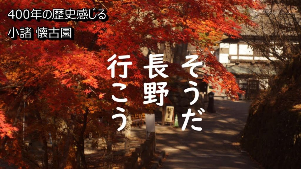 【信州小諸長野観光】懐古園で紅葉写真を撮るカメラ旅【一眼レフデジカメコンデジおすすめお城スポット宿泊ホテル情報】撮影撮り方方法設定NAGANOjapanKOMORO