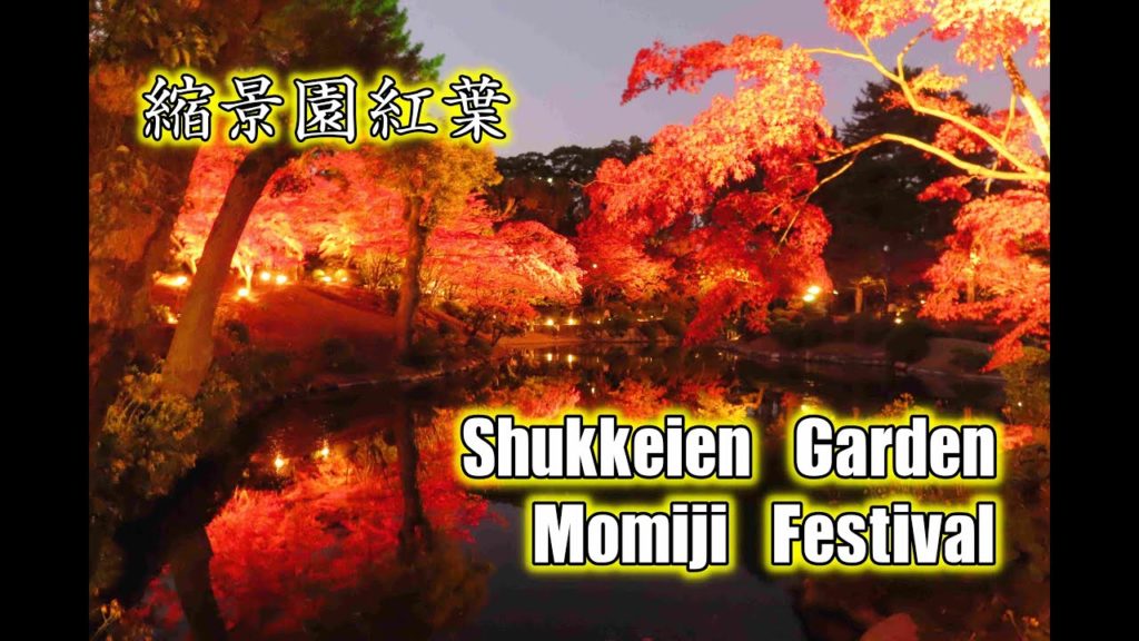 Shukkeien Festival Special Late Night Garden 縮景園紅葉(広島)