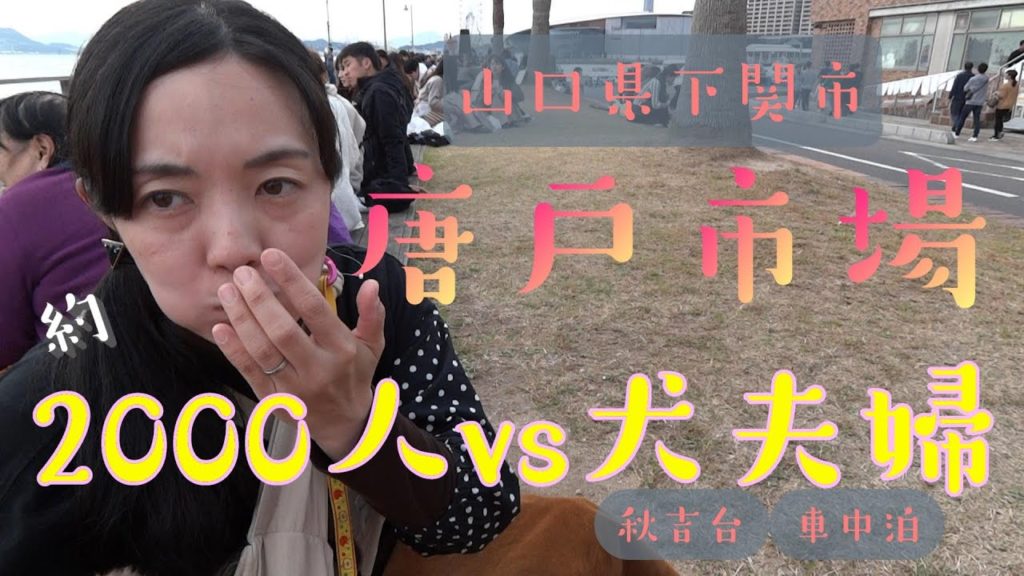 【トイプードルと車中泊旅】秋吉台はまるでドラクエの世界！唐戸市場約２０００人と寿司争奪バトル！【山口観光Yamaguchi Vlog】
