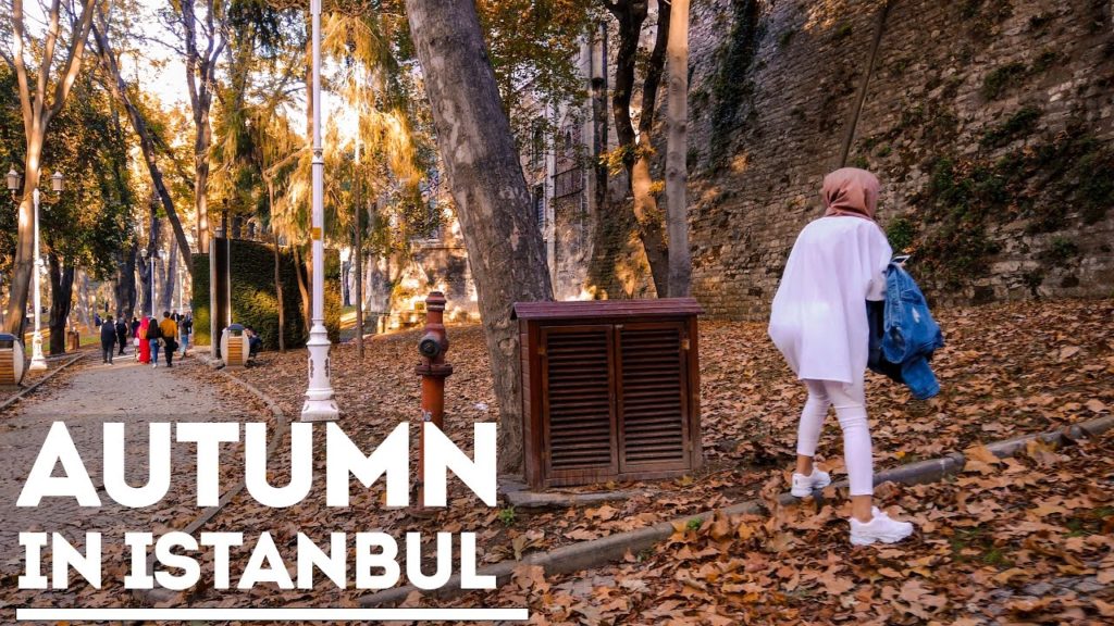A Park in Turkey, İstanbul Walking Tour in 4K