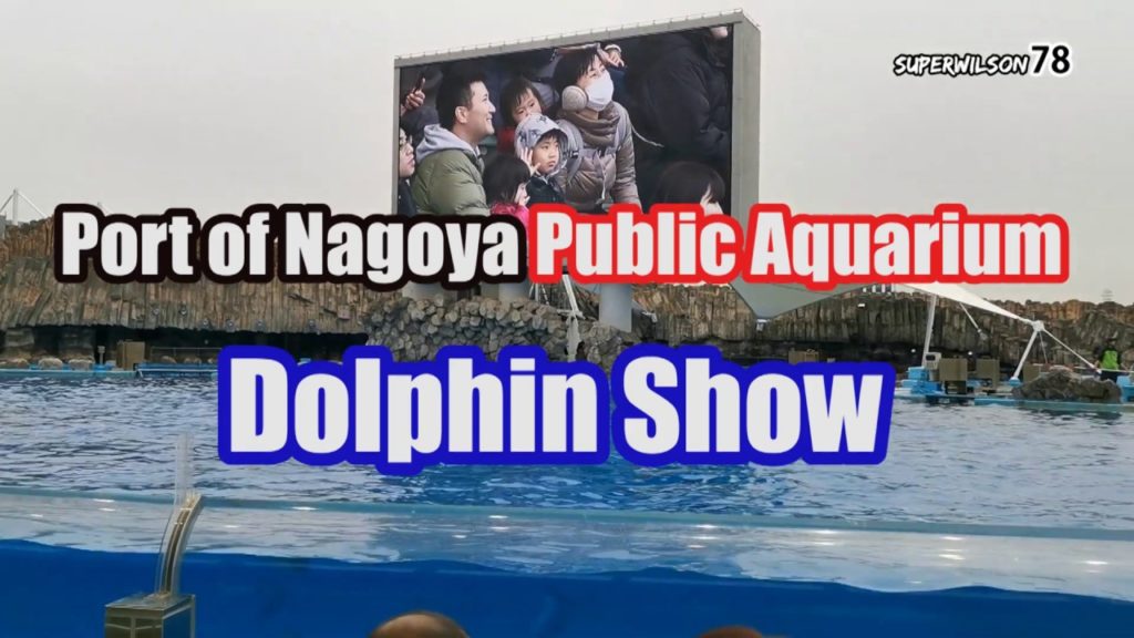 Port of Nagoya Public Aquarium Dolphin Show Full