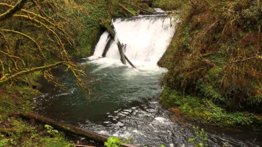 Oregon Silver Falls State Park