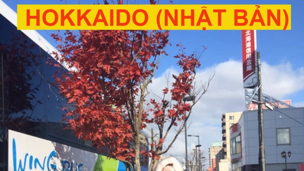 Du lịch Nhật Bản- Sân Bay Hokkaido – Nhà Hàng Wsyoku Du lịch Nhật Bản- Sân Bay Hokkaido - Nhà Hàng Wsyoku