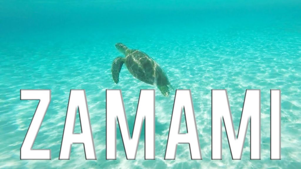 Nager avec les tortues de Zamami, à Okinawa | VLOG JAPON