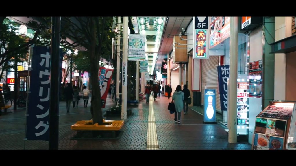 One night in Sendai [Japan 2017]