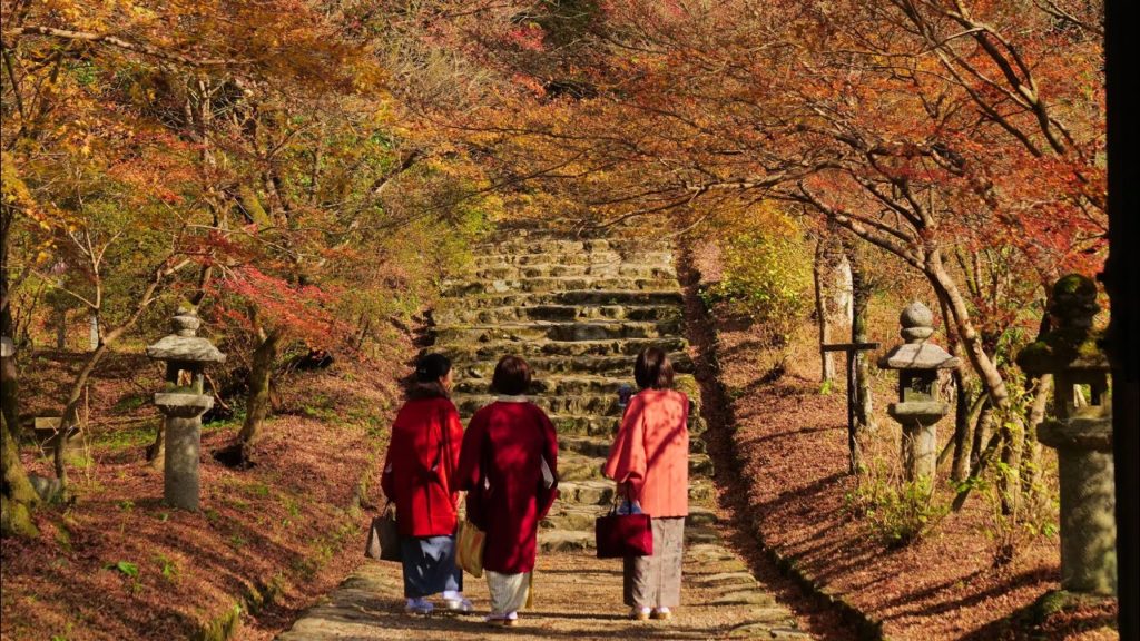JG☆☆☆☆8K HDR Fukuoka,Akizuki in Autumn and Soundscape(Historic District) 福岡 城下町秋月の紅葉と美しい音風景(重伝建)