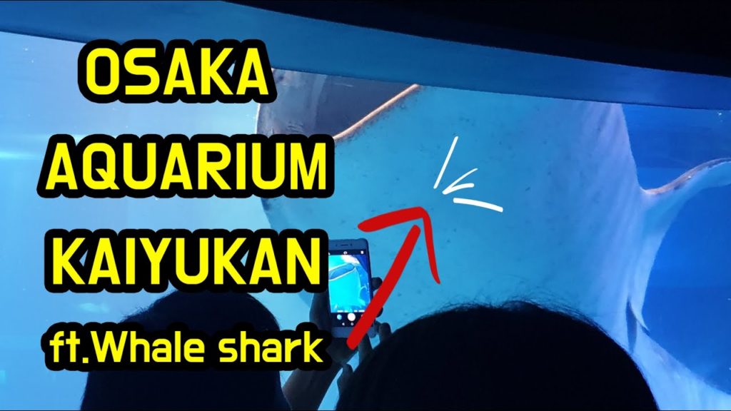 (Eng, Kor sub) Osaka Aquarium Kaiyukan japan travel. (Eng, Kor sub) Osaka Aquarium Kaiyukan japan travel.