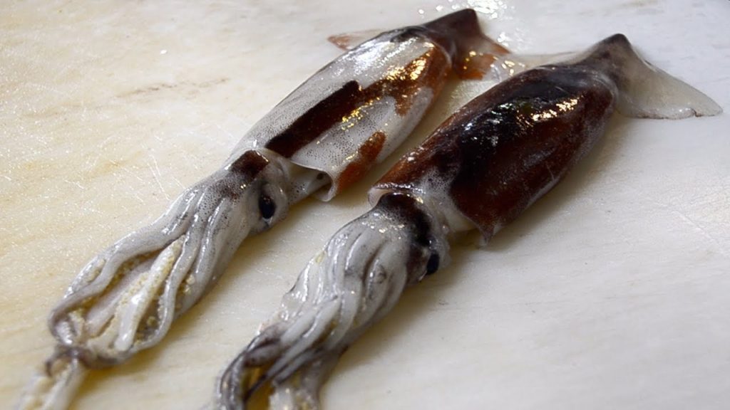 Japanese Street Food - Professional CUTTING Skills / SQUID Sashimi