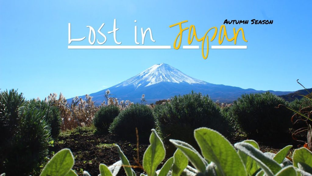 Lost in Japan - Autumn Season