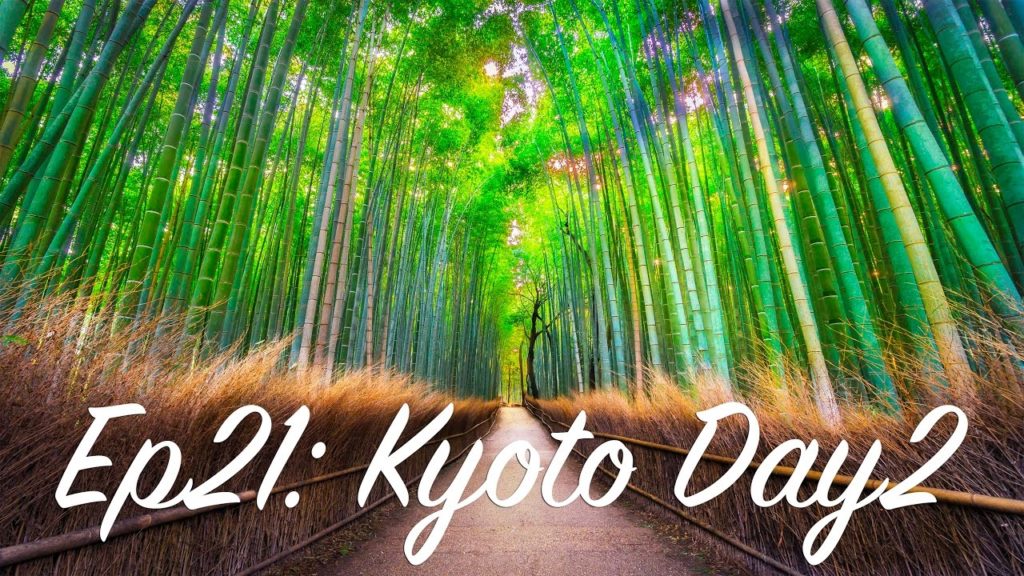 Viaje Y Fotografía en Kyoto: día 2, Arashiyama Bosque de Bambú. (ENG SUBS )