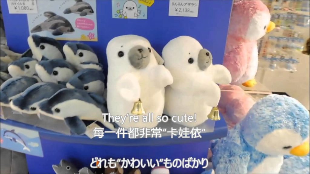 新潟市水族館マリンピア日本海Vol.7 「御土産編」【NIIGATA GOOD CONTENTS】