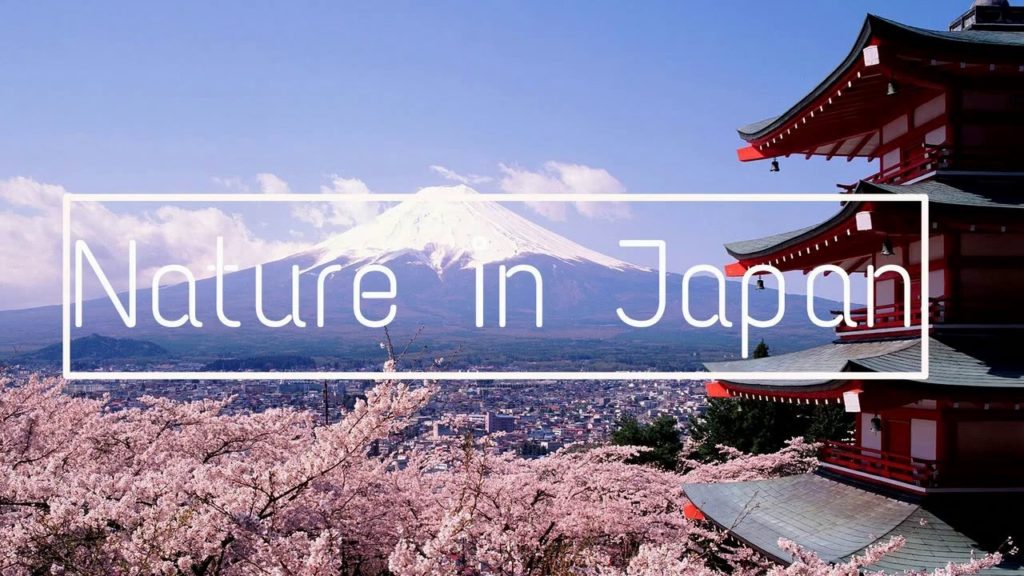 Japan - endless discovery