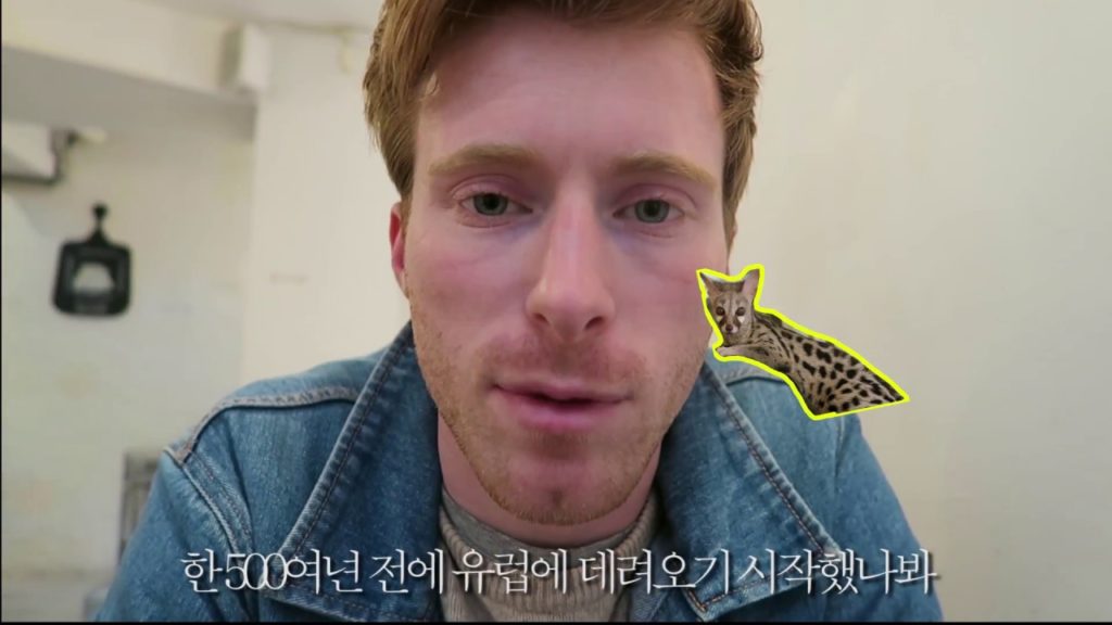 덴나 서울일상 vlog | ep. 04 영국인 남자친구와 미어캣 카페 갔다가 든 생각