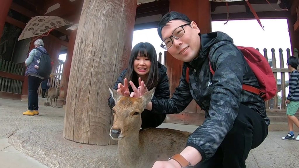 Kyoto 6D5N (秋天的京都）