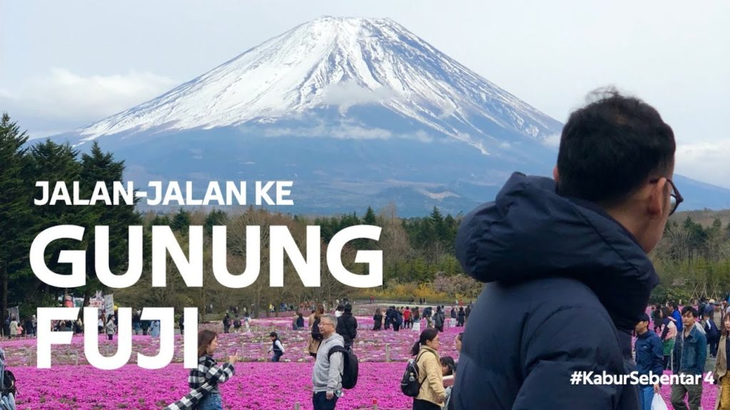 #KaburSebentar 4 Ke Tokyo: Lihat Gunung Fuji dari Shibazakura Festival
