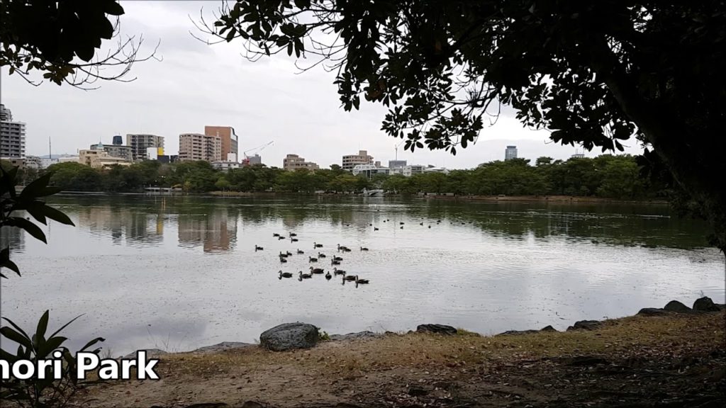 Fukuoka in Autumn (1/2)