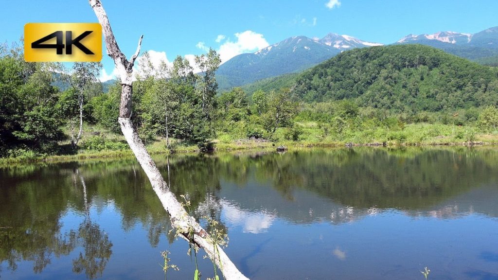 乗鞍高原 一ノ瀬園地「まいめの池」癒しの風景 : 乗鞍岳 Chūbu-Sangaku National Park Japan : 4K 乗鞍高原 一ノ瀬園地「まいめの池」癒しの風景 : 乗鞍岳 Chūbu-Sangaku National Park Japan : 4K