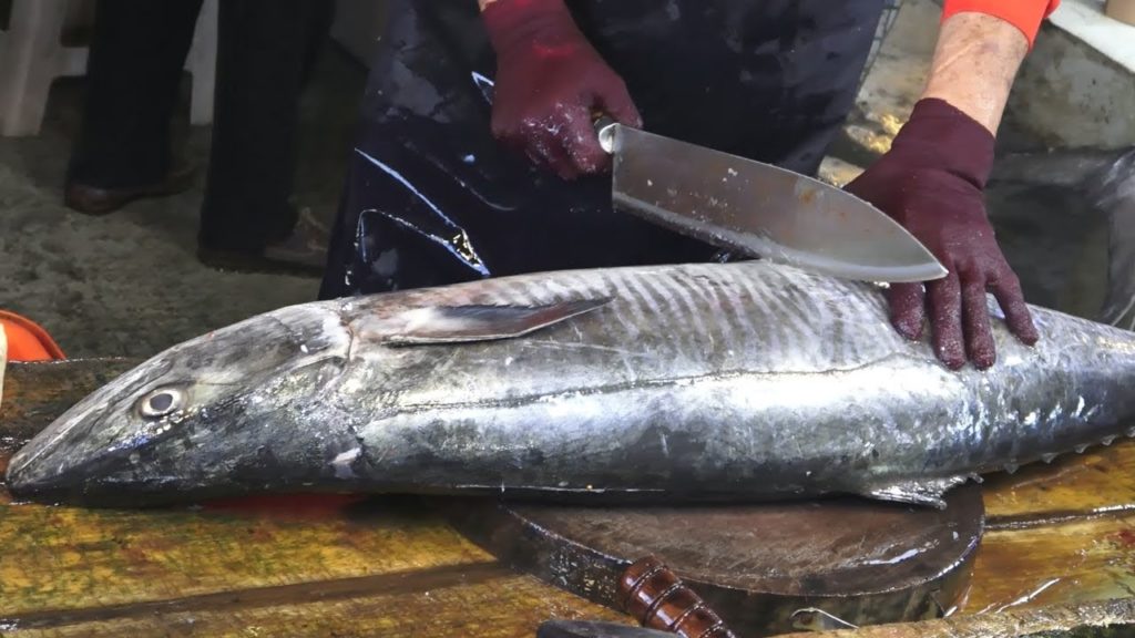 45 pounds Spanish Mackerel $200 Fillet by Sharp Knife।Fish Fillet Japanese Knife Techniques