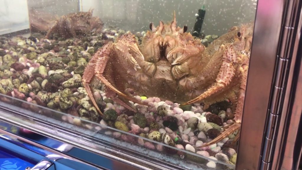 毛ガニUFOキャッチャーがなかなか難しくて失敗する図 @北海道釧路市 Kushiro crab game at Kushiro Fisherman's Wharf, Hokkaido
