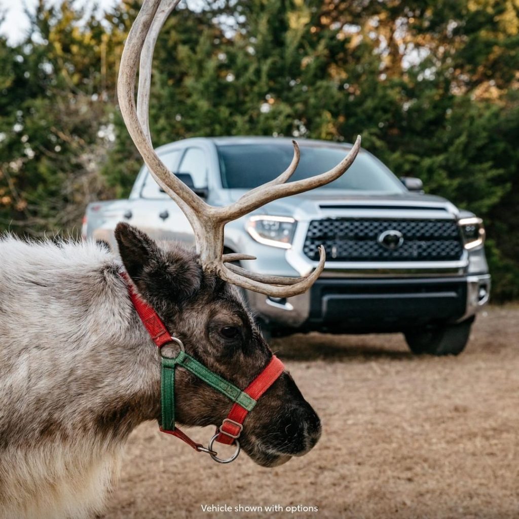 The most famous reindeer of all, #Tundra! #LetsGoPlaces...