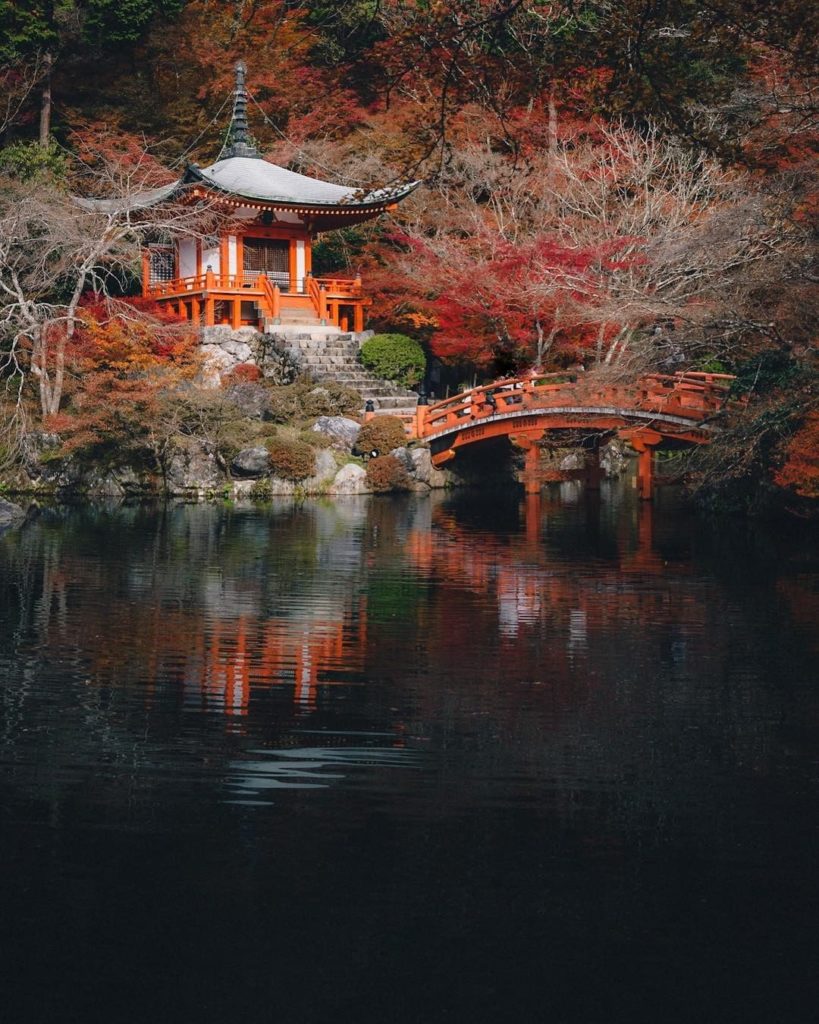 Even bare trees are beautiful...
: @826st
-----⁣⠀
Daigo-ji Temple, #Kyoto
.⁣⠀
.⁣...
