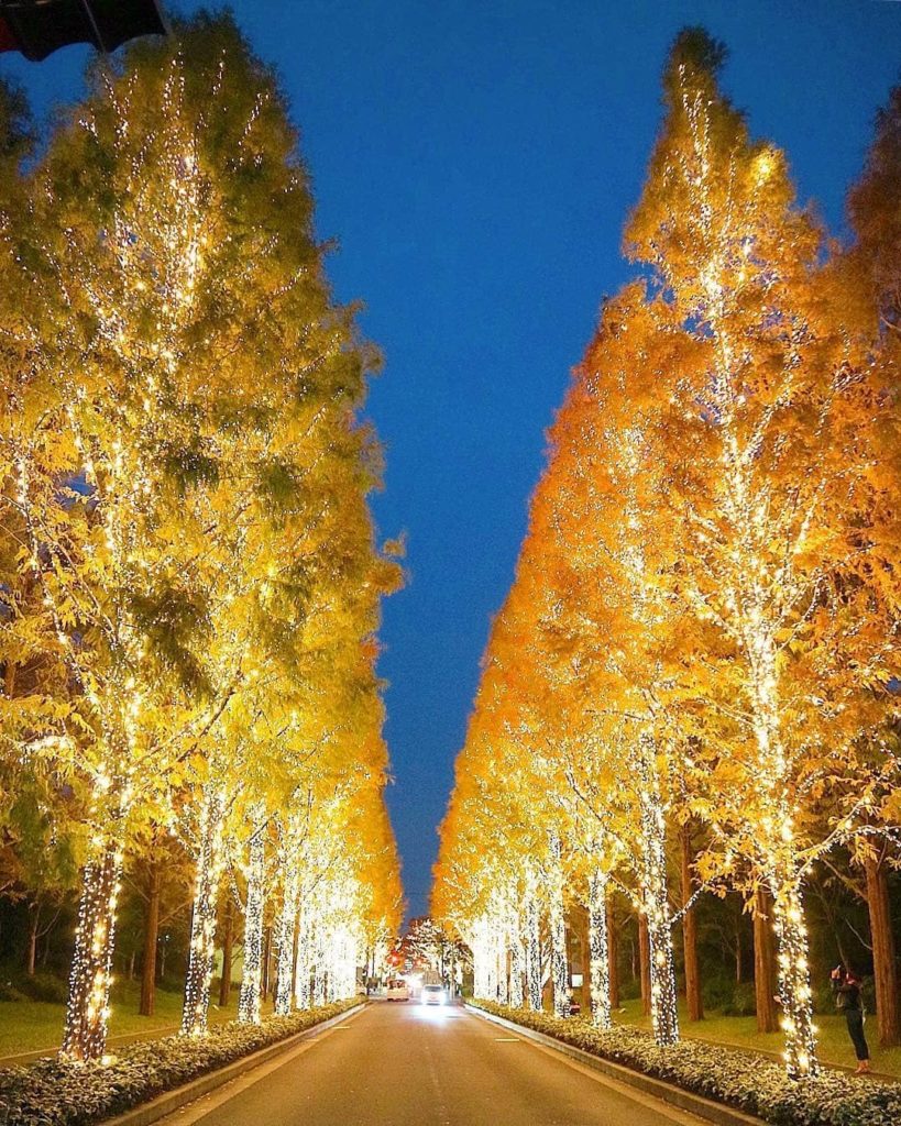 Visit Japan: Enjoy admiring swathes of trees and parks lit up with over 800,000 bulbs? Kyoto… Enjoy admiring swathes of trees and parks lit up with over 800,000 bulbs? Kyoto...