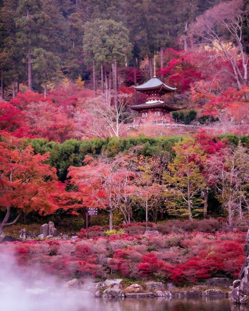 We're squeezing in as much autumn color as we can until anyone tells us otherwis...