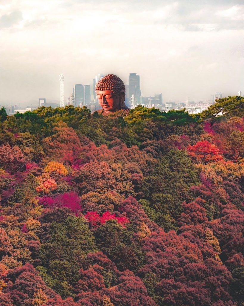We think Buddha has the best seat in the house! 
 @choro.rin
-----⁣⠀
#Aichi Pref...