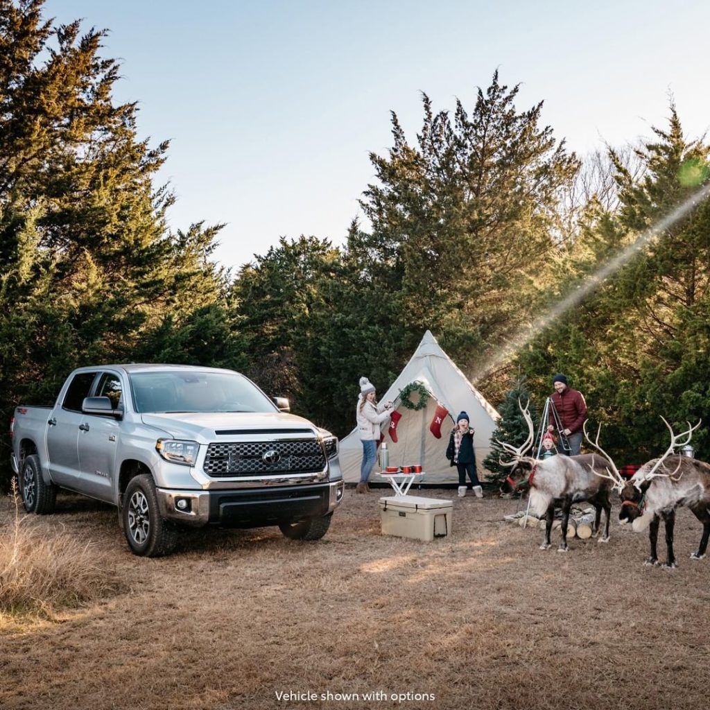 Oh deer - some unexpected guests are here!  #Tundra #LetsGoPlaces...