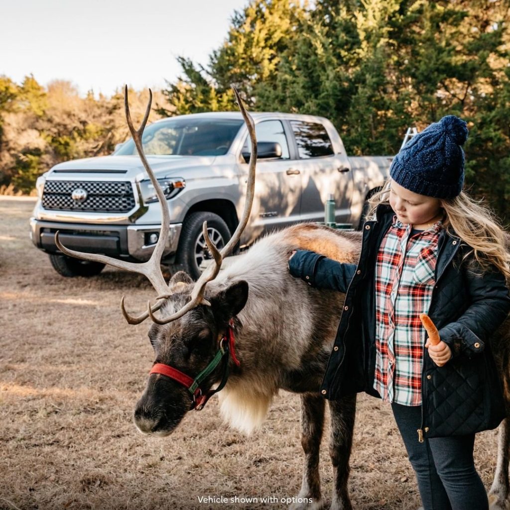 Make your family time 'rein' with cheer this year.  #Tundra #LetsGoPlaces...