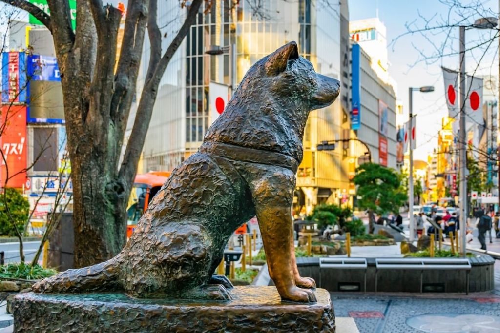 Visit Japan: Shibuya is a “must see” destination for visitors to Japan, many who come for the… Shibuya is a “must see” destination for visitors to Japan, many who come for the...