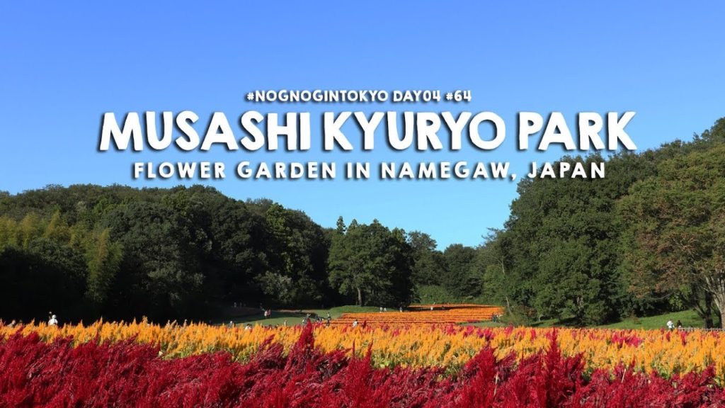 MUSASHI KYURYO National Government Park, Huge Flower Garden in Namegawa, Japan #64 MUSASHI KYURYO National Government Park, Huge Flower Garden in Namegawa, Japan #64