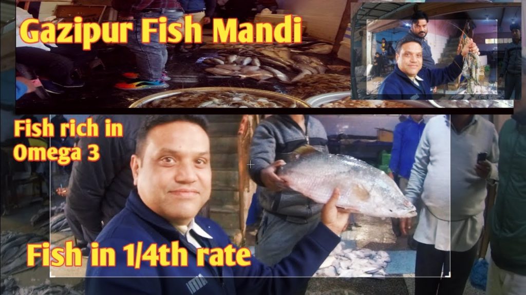 Ghazipur Fish Mandi Delhi | Delhi NCR wholesale fish market | Delhi Fishmarket | Fishmarket of Asia