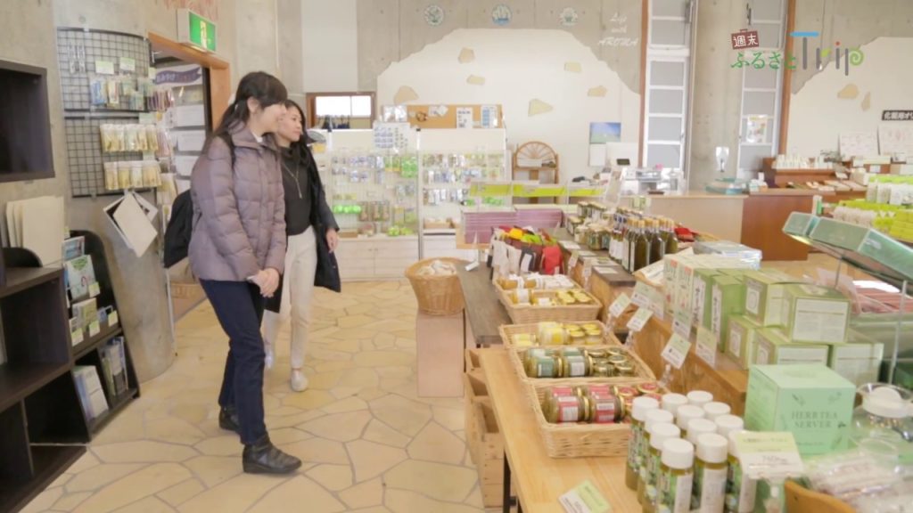JAL 週末ふるさとTrip 香川～小豆島～　フォトジェニックなスポット満載！「小豆島オリーブ公園」小豆島の歴史と自然と体験「小豆島ふるさと村」