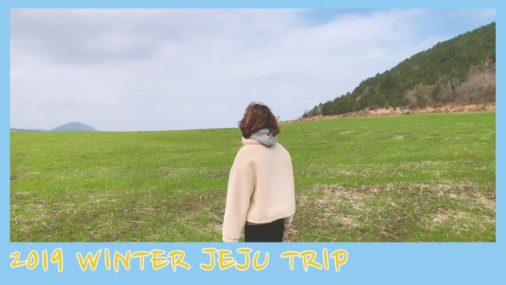 2019 겨울 제주도 여행, 그리고 푸조 508과 답다니 언덕집