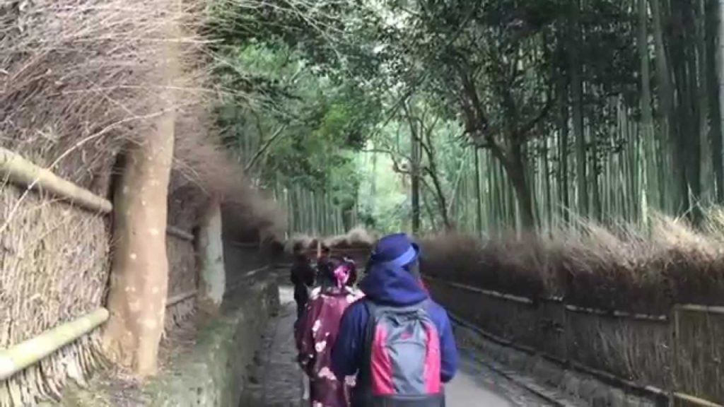 ADVENTURES: JAPAN 2015