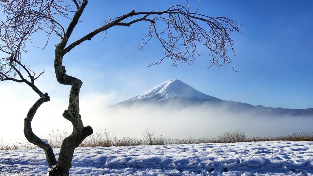 2019.12.24 河口湖畔の雪景色 (突然の大雪)　[4K]  #Kawaguchiko #MtFuji #Winter #Snow