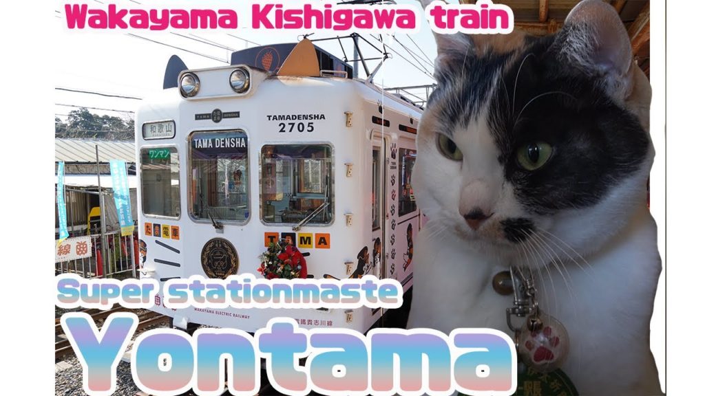It has been met in Wakayama Kishigawasen Yontama super station master!