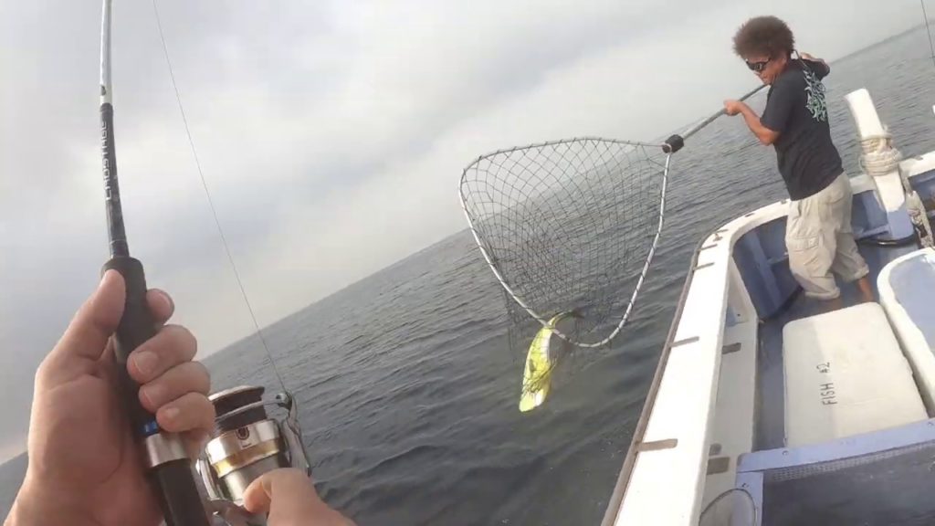 Fishing Japan, Mahi Mahi Fishing Japan, Mahi Mahi