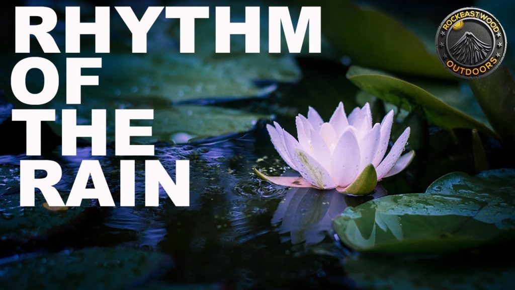 Rhythms of Rain | Japanese Garden (Kamiooka Kuraki Park)