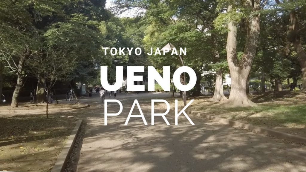 Ueno Park | Tokyo Japan | Walk with me tour | Raw Video