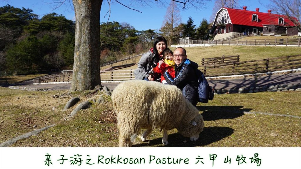 童心看世界 - 大昄亲子游 Vlog  神户 Kobe  Rokkosan Pasture 六甲山牧場 - 超美的风景和可爱的绵羊 - 近距离接触绵羊 - 爱上这个地方 (完整版）