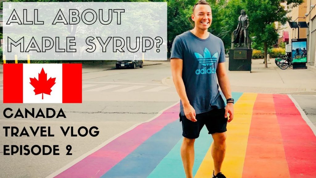 🇨🇦 CANADA TRAVEL GUIDE/VLOG | Toronto Downtown Sightseeing + The Best Brunch In Town | EPISODE 2 🇨🇦 CANADA TRAVEL GUIDE/VLOG | Toronto Downtown Sightseeing + The Best Brunch In Town | EPISODE 2